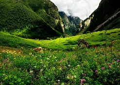 Indimasi Healing Village