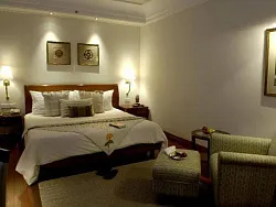 Garden view room