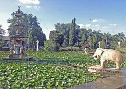 Indimasi Healing Village