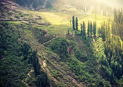 Indimasi Healing Village