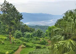 Indimasi Healing Village
