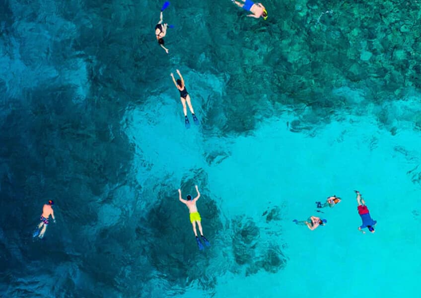 Maafushivaru Maldives: погружение в мир китовых акул Maafushivaru Maldives: погружение в мир китовых акул