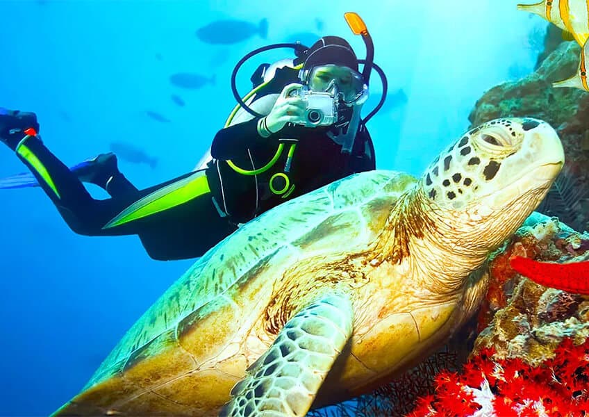 Velassaru Maldives: профессиональная фотосъемка на суше и под водой Velassaru Maldives: профессиональная фотосъемка на суше и под водой