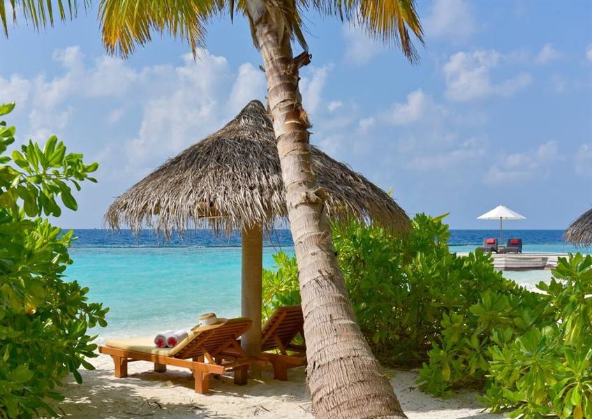 Baros Maldives представляет новое спа-меню Baros Maldives представляет новое спа-меню
